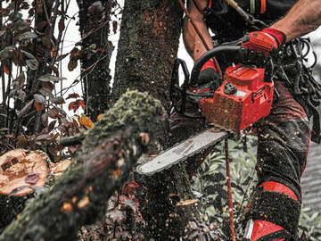 M18 FUEL FTHCHS et M12 BLPRS : 2 nouveaux outils sans fil Milwaukee pour les professionnels des travaux paysagers et agricoles