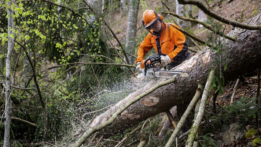 Test affuteur de forets LIDL 