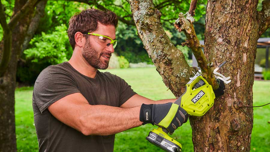 Test complet et avis de l'élagueur à main sur batterie RYOBI